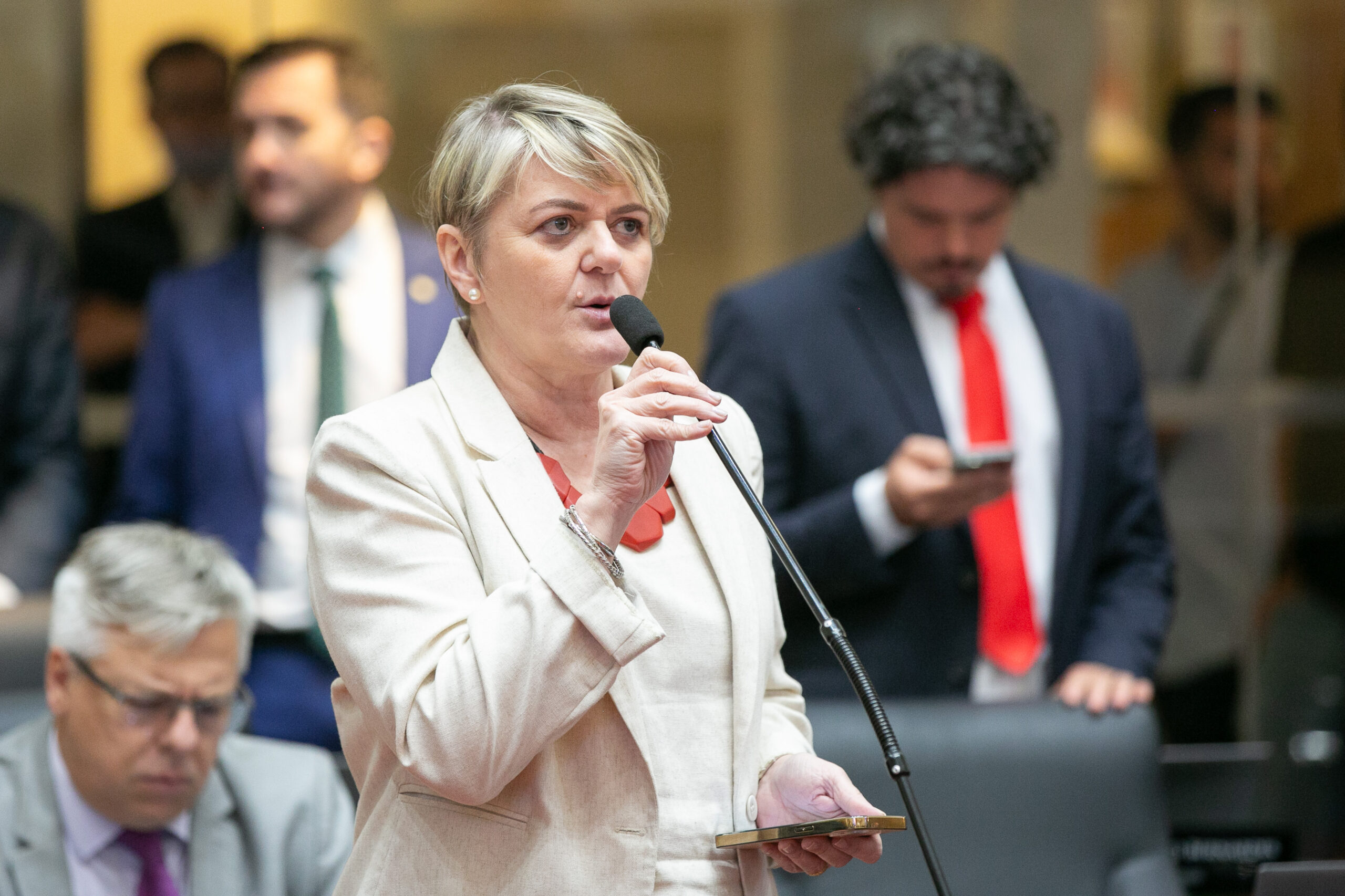Deputada Luciane defende ampliação do orçamento para assistência social