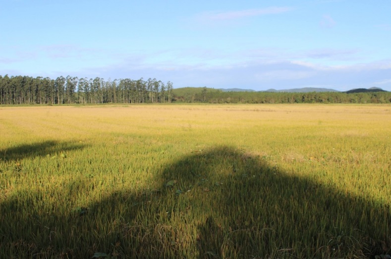 SECRETARIA DE AGRICULTURA E EPAGRI VIABILIZAM INSUMO DE CALCÁRIO PARA OS PRODUTORES RURAIS