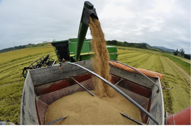 Primeira reunião do Censo Agro 2017 acontece nessa sexta-feira (11)