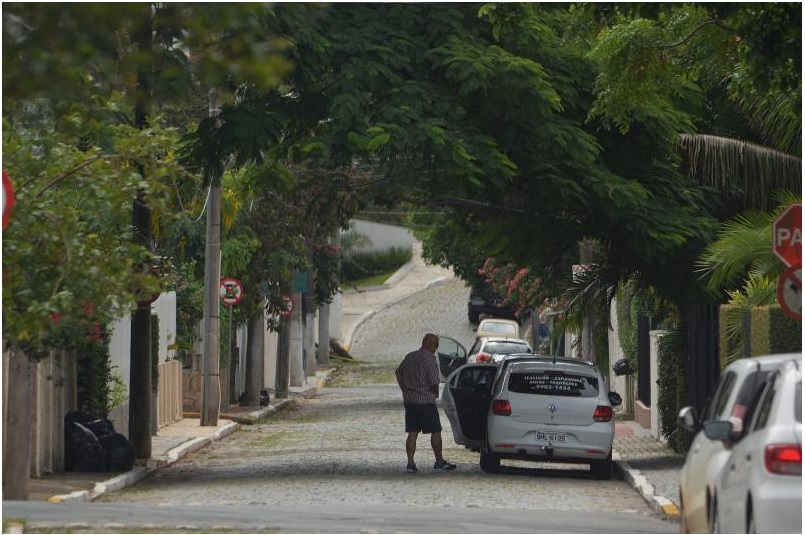 Itajaí elabora plano de arborização Itajaí elabora plano de arborização