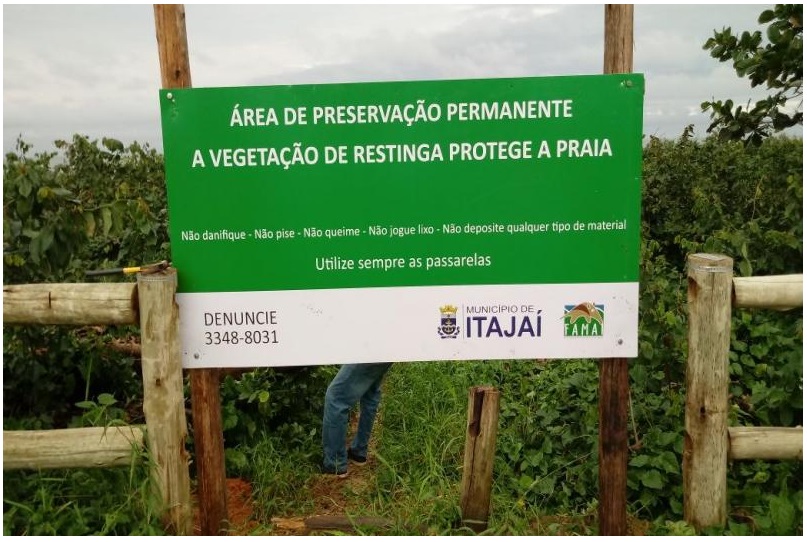 Recuperação ambiental da restinga da Praia Brava inicia na próxima semana Recuperação ambiental da restinga da Praia Brava inicia na próxima semana