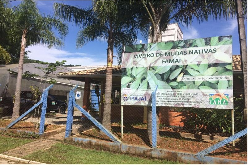 FAMAI realiza feira de doação gratuita de mudas frutíferas FAMAI realiza feira de doação gratuita de mudas frutíferas