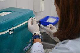 Secretaria de Saúde de Camboriú recebe doses da vacina Pentavalente