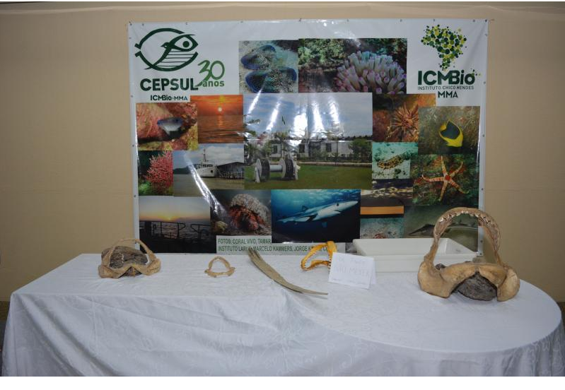 Aberta a exposição Pescando Conhecimento: Um Novo Olhar para o Mar