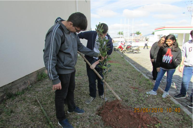 Famai realiza plantio de árvores nativas em colégio estadual