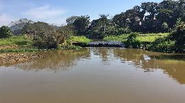 Nível do Rio Camboriú está crítico