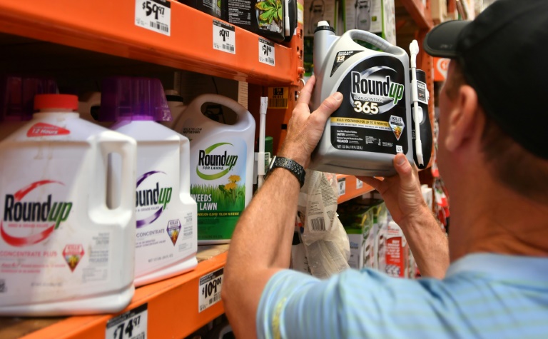 Monsanto condenada a pagar US$ 81 mi em julgamento por herbicida Roundup Monsanto condenada a pagar US$ 81 mi em julgamento por herbicida Roundup