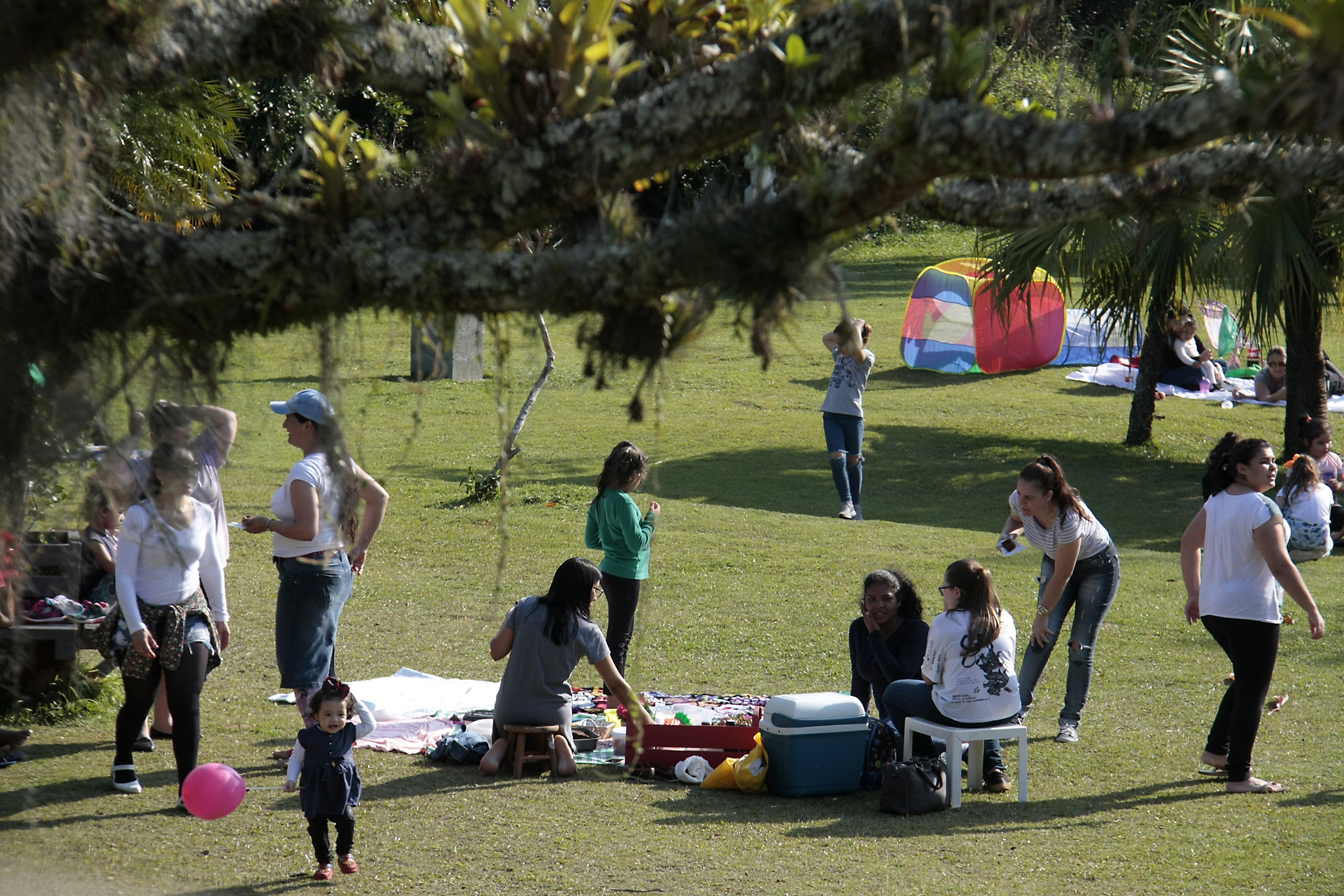 Parque Raimundo Malta está fechado para manutenção e controle de pragas Parque Raimundo Malta está fechado para manutenção e controle de pragas
