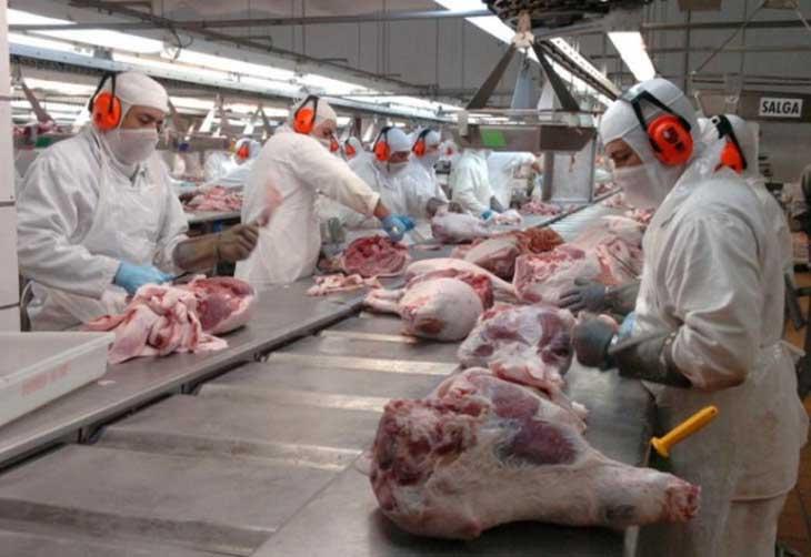 Coreia do Sul habilita novos frigoríficos de Santa Catarina Coreia do Sul habilita novos frigoríficos de Santa Catarina