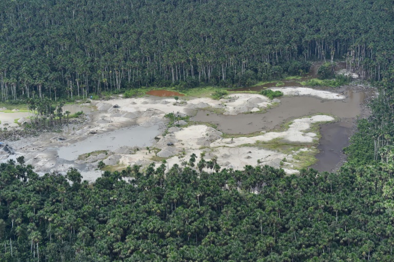 Peru instala bases militares na Amazônia para combater desmatamento