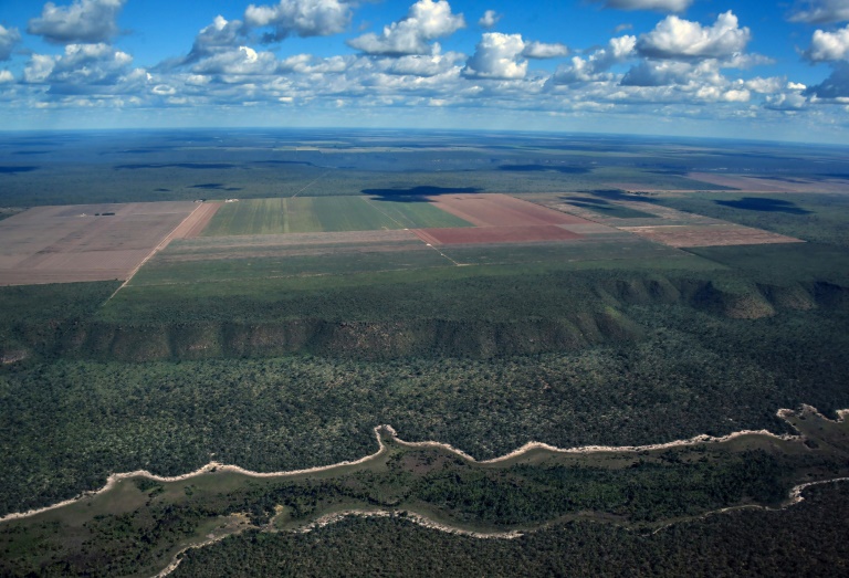 Monoculturas tomam lugar do Cerrado e ameaçam comunidades no Brasil