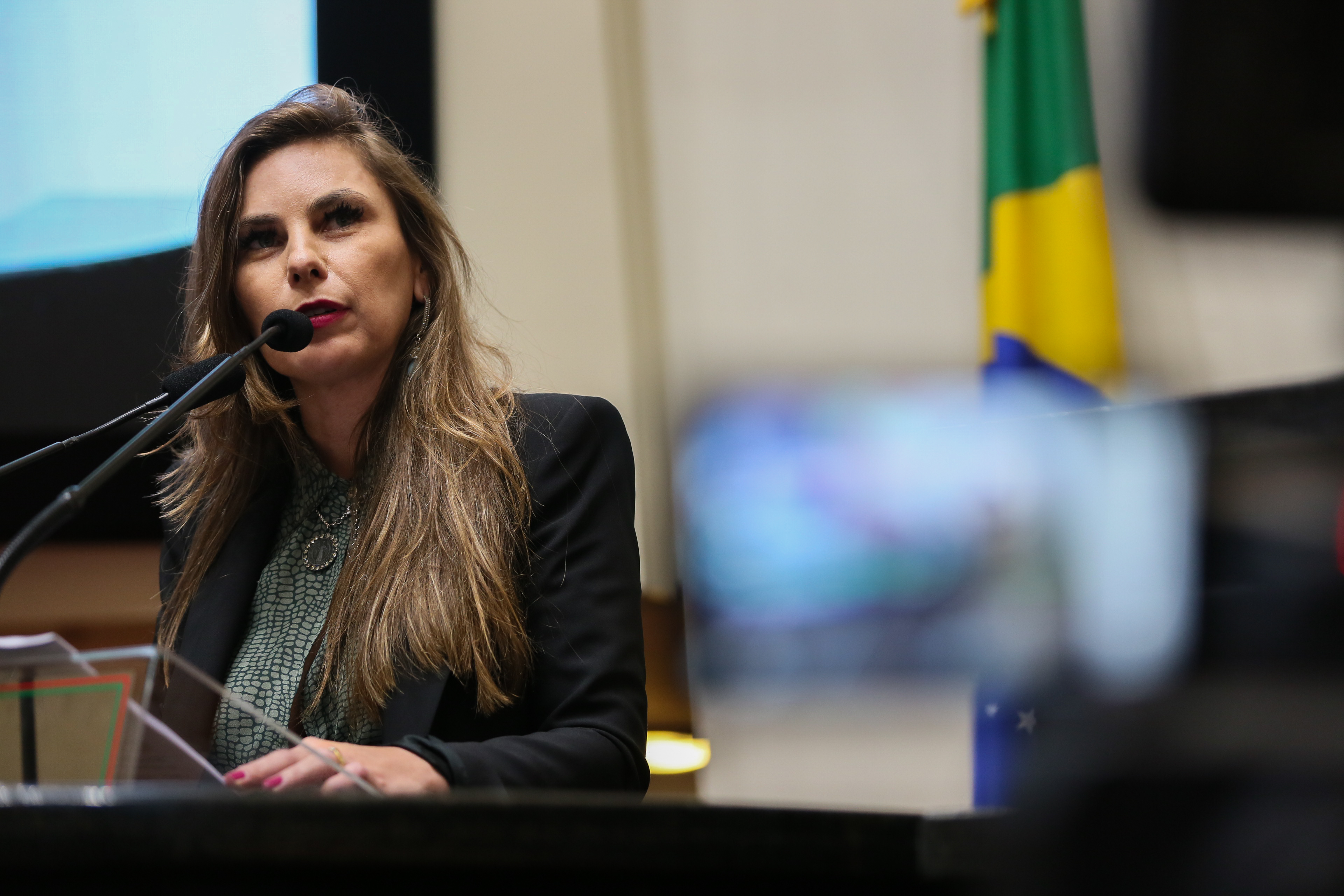 Alesc discute Política Estadual da Pesca em SC Alesc discute Política Estadual da Pesca em SC