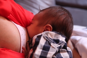 Alesc promove Congresso Catarinense de Aleitamento Materno na próxima semana Alesc promove Congresso Catarinense de Aleitamento Materno na próxima semana