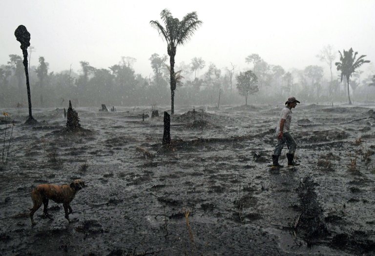 Na pele de um minerador ilegal na Amazônia