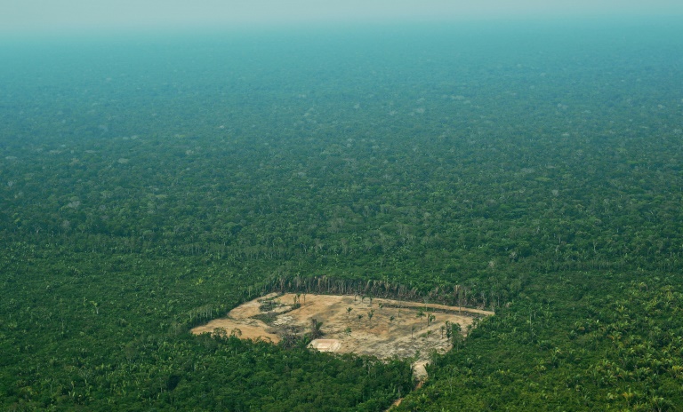 Alemanha corta subsídios a projetos de proteção diante de desmatamento na Amazônia