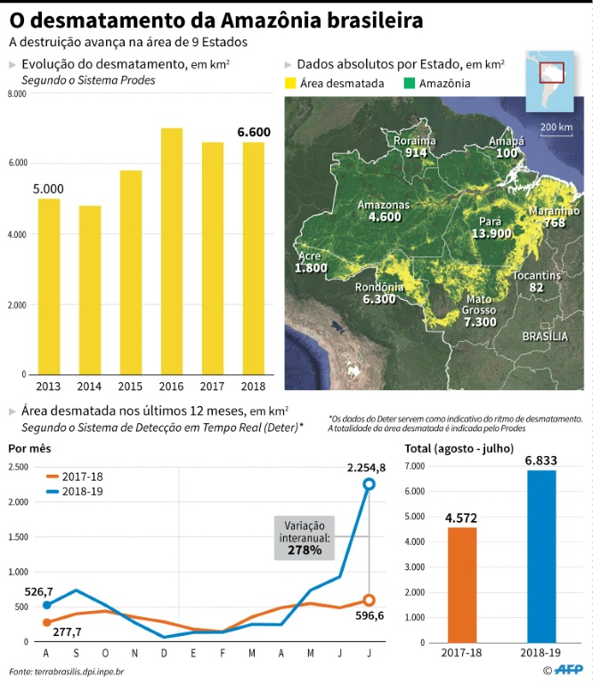 Governo Bolsonaro vê sensacionalismo em novos dados sobre desmatamento