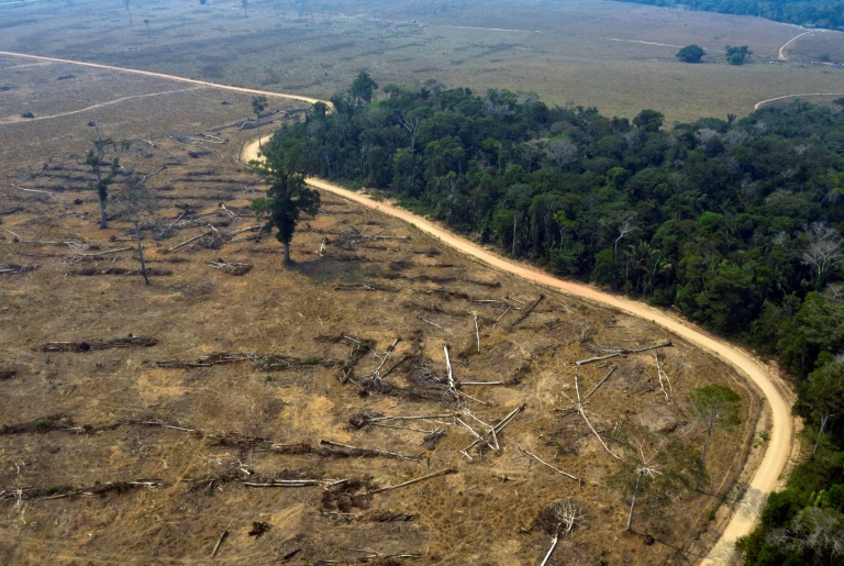 Agricultor afirma que desmata Amazônia ‘para sobreviver’