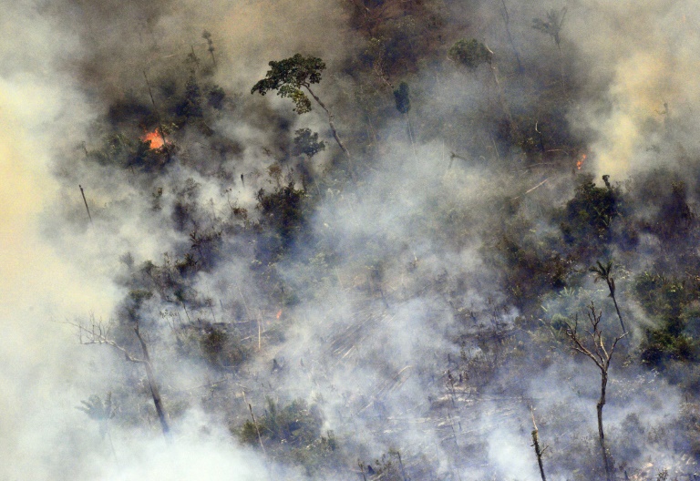 Brasil rejeita ajuda do G7 para combater incêndios na Amazônia