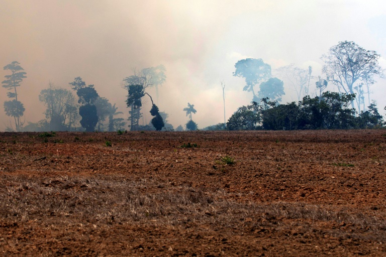 G7 vai desbloquear ajuda de emergência para enviar Canadair para combate de queimadas na Amazônia