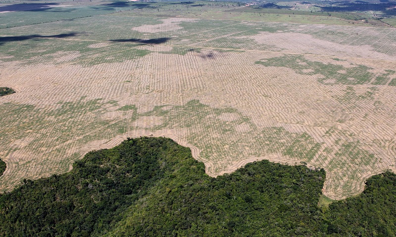 Bolsonaro diz que dados “falsos” do desmatamento prejudicam sua imagem e do Brasil