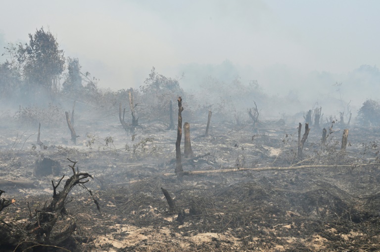 Incêndios na Indonésia provocam cancelamento de aulas e ameaçam GP de F1 em Singapura Incêndios na Indonésia provocam cancelamento de aulas e ameaçam GP de F1 em Singapura