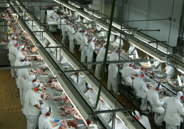 SC tem mais sete frigoríficos habilitados a exportar subprodutos de suínos para China SC tem mais sete frigoríficos habilitados a exportar subprodutos de suínos para China
