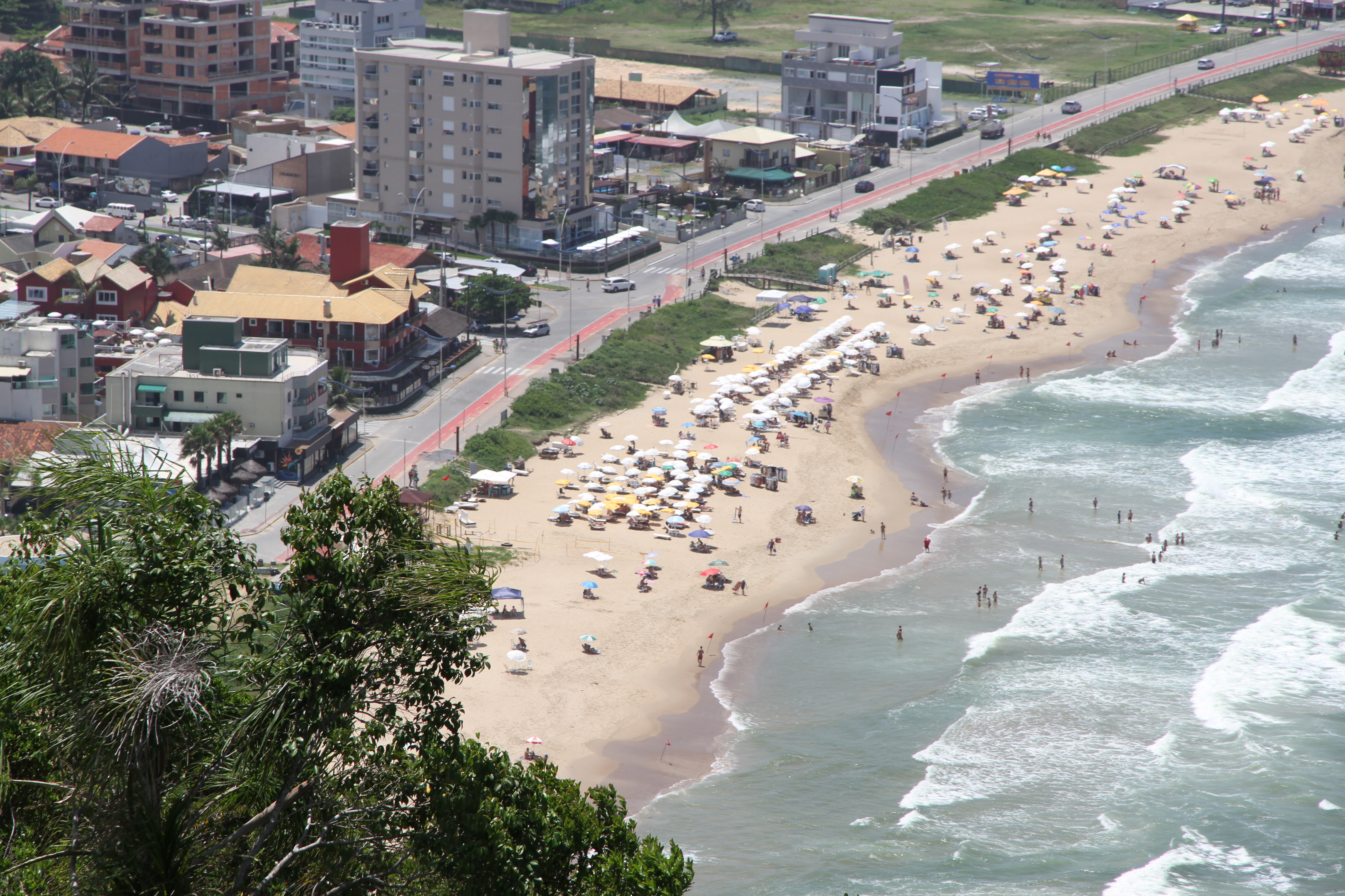 Praia Brava terá ação ambiental neste final de semana