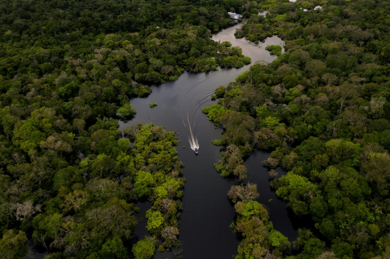 Esperança e persistência, a mensagem dos jovens da Amazônia para o mundo Esperança e persistência, a mensagem dos jovens da Amazônia para o mundo