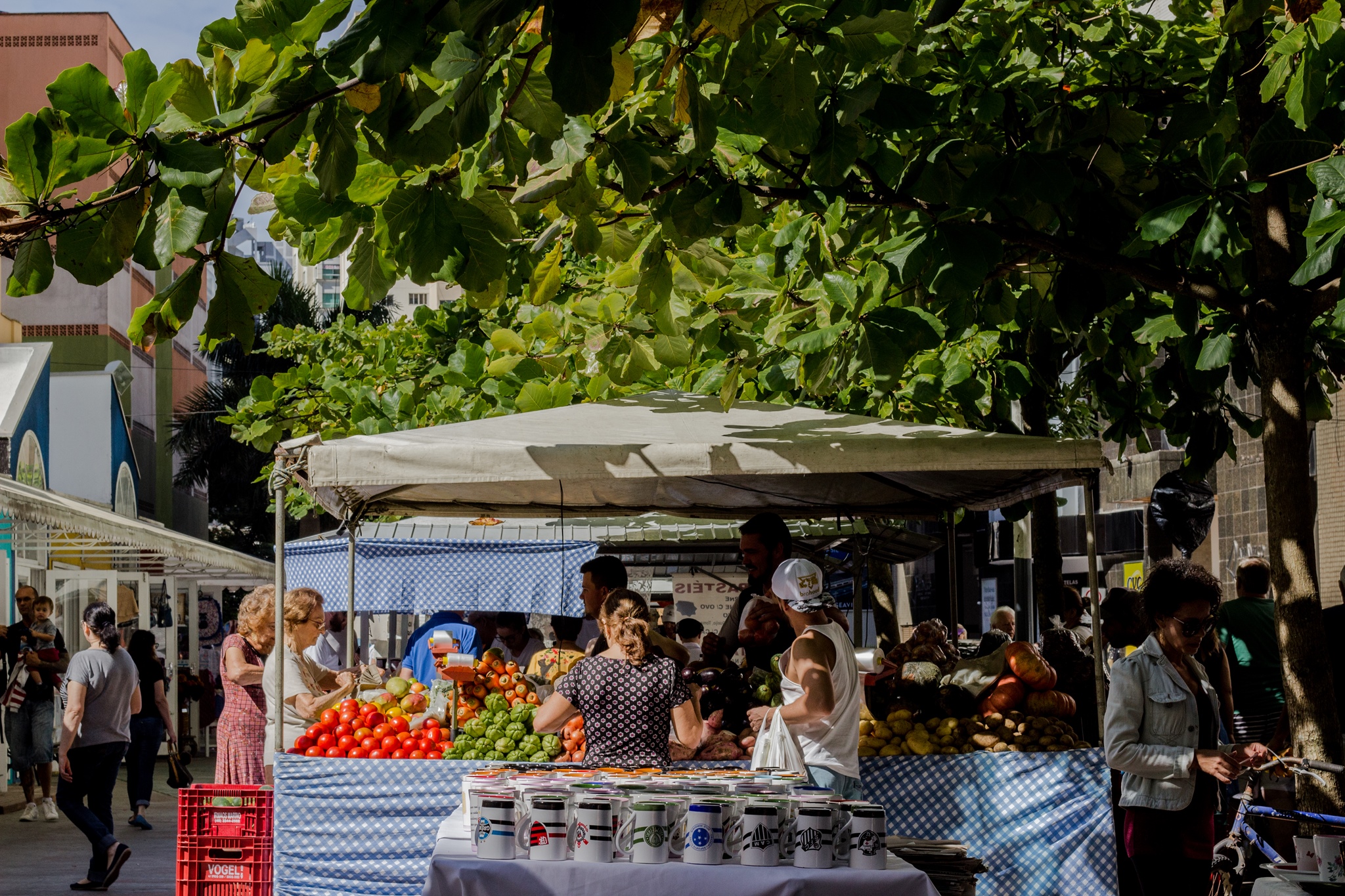 Feira da Praça da Cultura retorna neste sábado