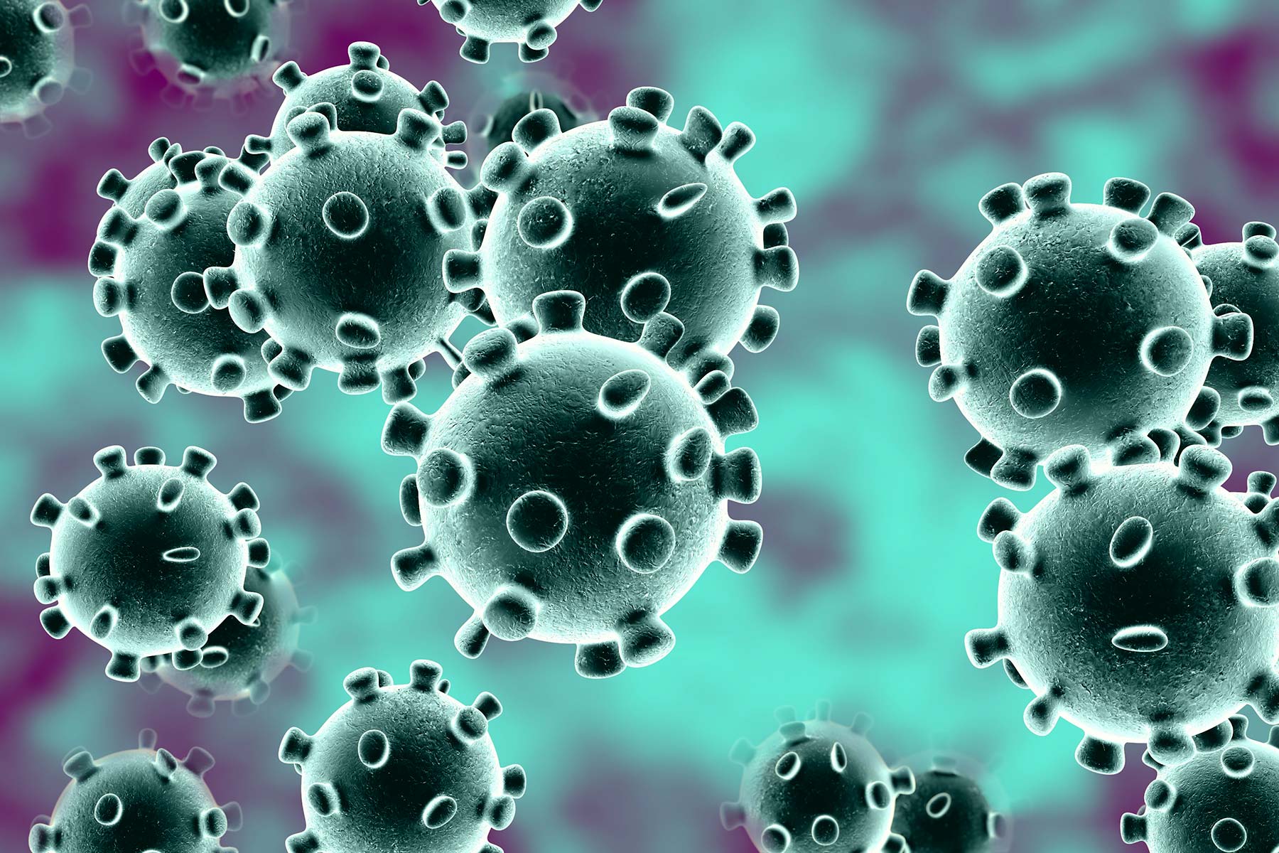 Itapema completa dois meses com ações de combate ao novo coronavírus