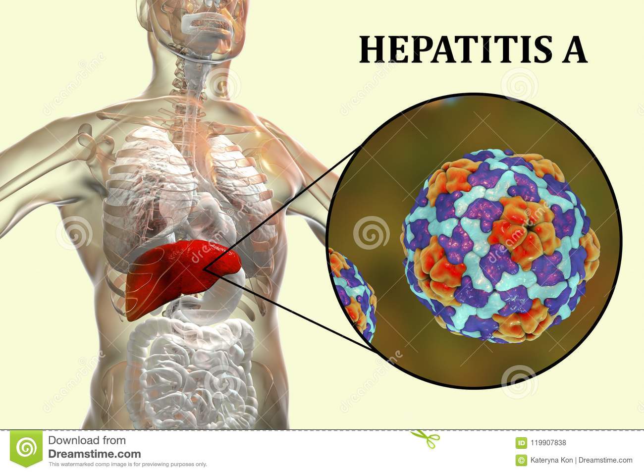 Dia Mundial de Combate às Hepatites Virais