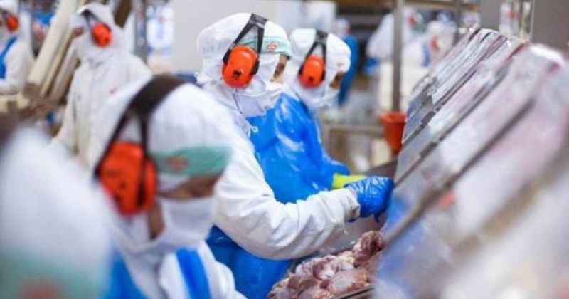 Coronavírus em SC: Governo do Estado auxilia em processo de reabertura do frigorífico de Ipumirim Coronavírus em SC: Governo do Estado auxilia em processo de reabertura do frigorífico de Ipumirim