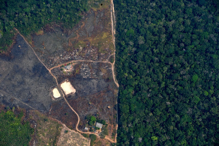 Greenpeace denuncia aumento de mineração ilegal na Amazônia