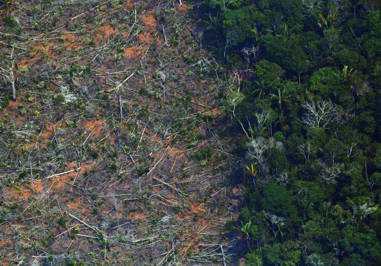 Ex-ministros pedem fim do desmatamento ao governo Bolsonaro