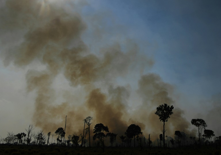 ONG afirma que incêndios na Amazônia são ‘ameaça de genocídio’ para indígenas