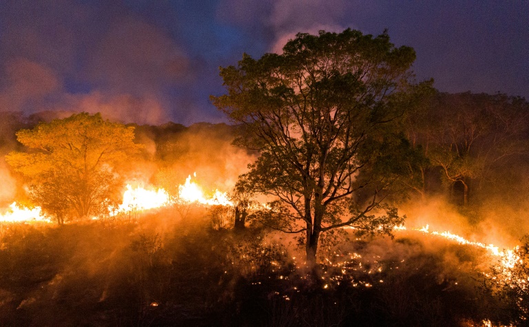 Pantanal, um paraíso verde devorado pelas chamas