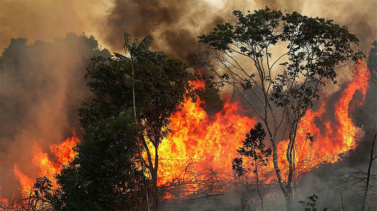 Congresso paraguaio decreta emergência nacional devido a incêndios