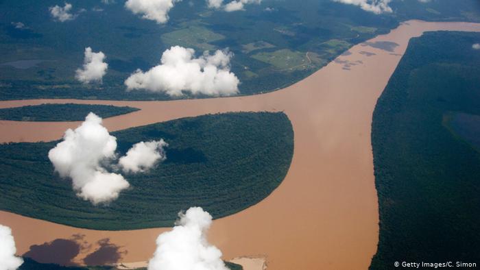 Por que a Amazônia é vital para o mundo?
