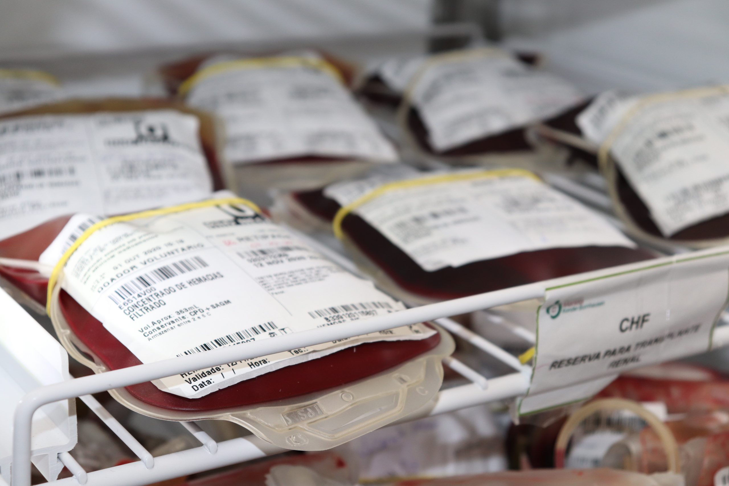 Hospital Marieta monta árvore de Natal em alusão ao Dia Mundial do Doador de Sangue