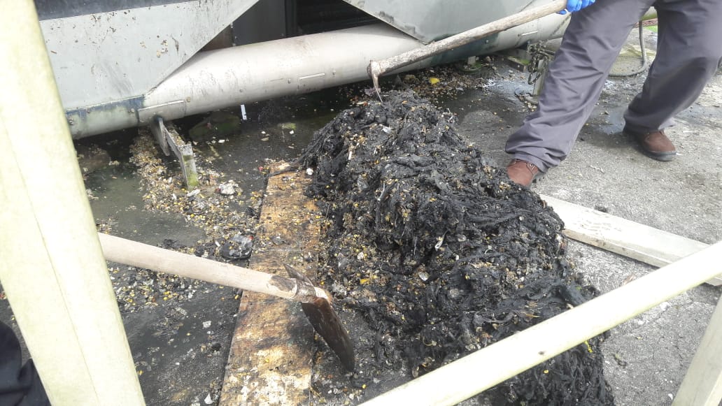Descarte incorreto de resíduos em pias, ralos e vasos sanitários prejudicam a rede