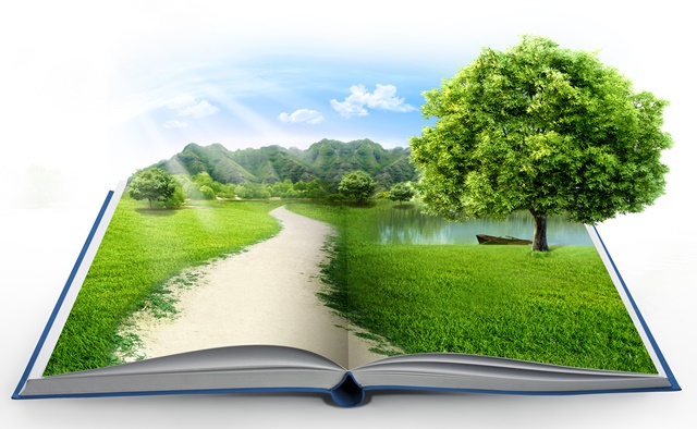 FUNDEMA e projeto Somos do Mar oferecem atividade de educação ambiental na praia neste sábado FUNDEMA e projeto Somos do Mar oferecem atividade de educação ambiental na praia neste sábado