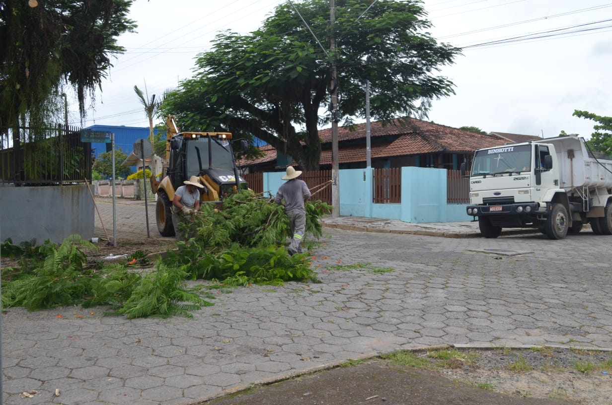 Mutirão de poda de árvores e vegetação atende cerca de 50 ruas de Balneário Piçarras