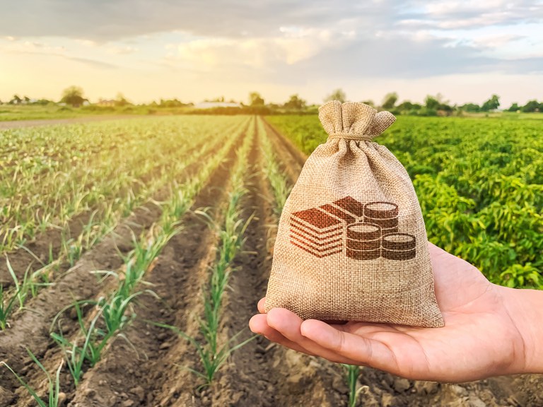 Fundos de investimento podem aumentar produção e sustentabilidade: o Fiagro será uma alternativa para melhorar o aproveitamento do potencial agroecológico da agropecuária brasileira