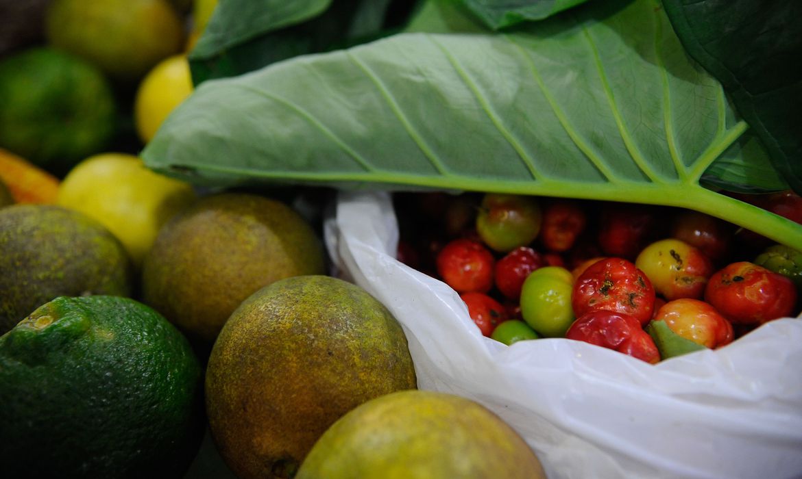 ONU: 931 milhões de toneladas de alimentos foram para o lixo em 2019