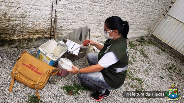 DENGUE: Saúde de Tijucas solicita auxílio da população para eliminar focos do Aedes Aegypti