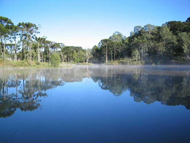 Serra Gaúcha: lançado o edital de concessão da Floresta Nacional de Canela, a unidade deve ter o ecoturismo fortalecido para a geração de emprego e renda na região