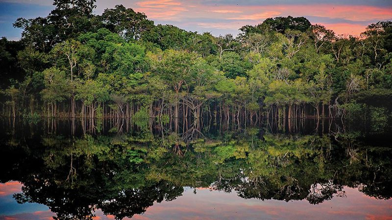 ‘Entendendo a Amazônia’: Evento é lançado oficialmente hoje, com objetivo de discutir a importância e a preservação desse importante bioma