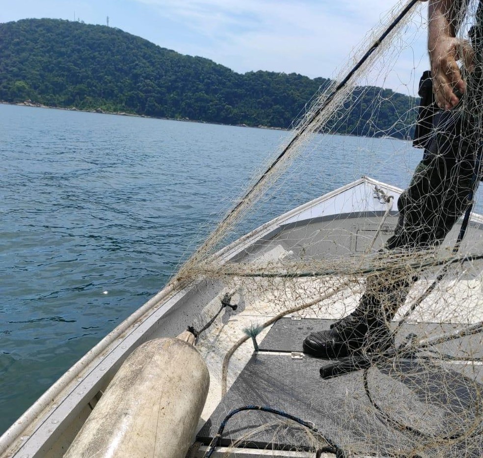 Pesca da Tainha: Fiscalização Ambiental intensifica ações em combate a pesca irregular