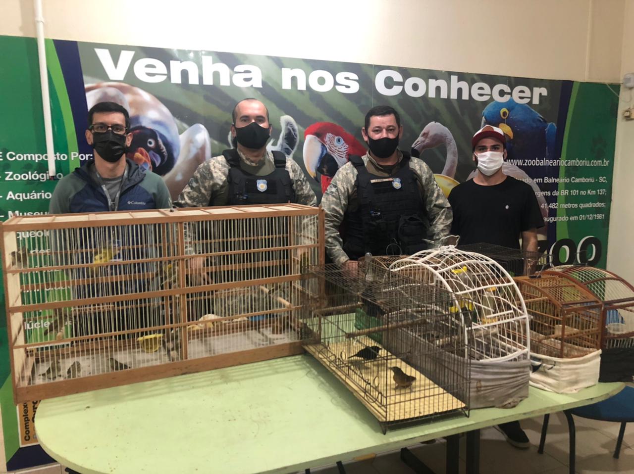 Crime Ambiental: Aves silvestres mantidas em cativeiro são apreendidas em Balneário Camboriú Crime Ambiental: Aves silvestres mantidas em cativeiro são apreendidas em Balneário Camboriú
