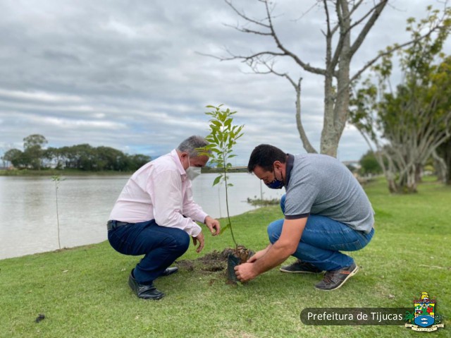 Dia do Meio Ambiente: Plantio de árvores nativas em áreas verdes de Tijucas celebra a data Dia do Meio Ambiente: Plantio de árvores nativas em áreas verdes de Tijucas celebra a data